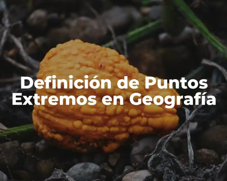 Definición de Puntos Extremos en Geografía