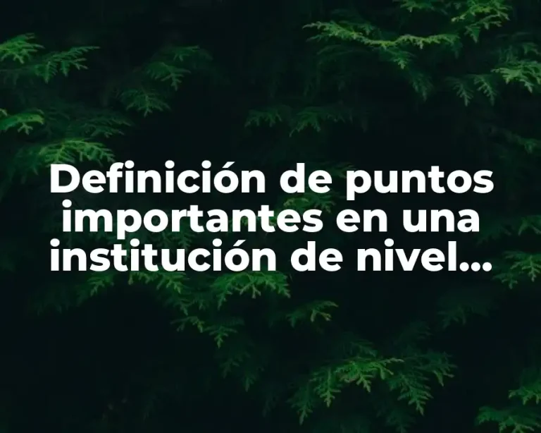 Definición de puntos importantes en una institución de nivel superior