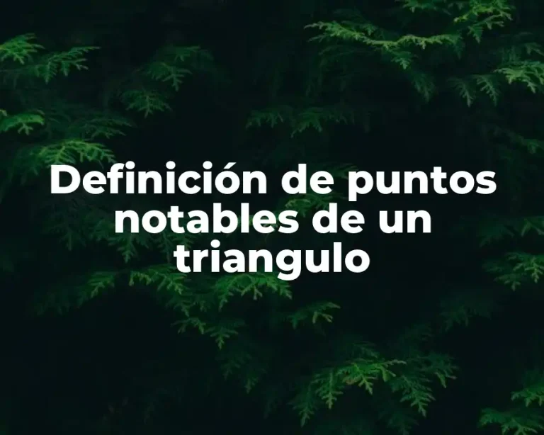 Definición de puntos notables de un triangulo