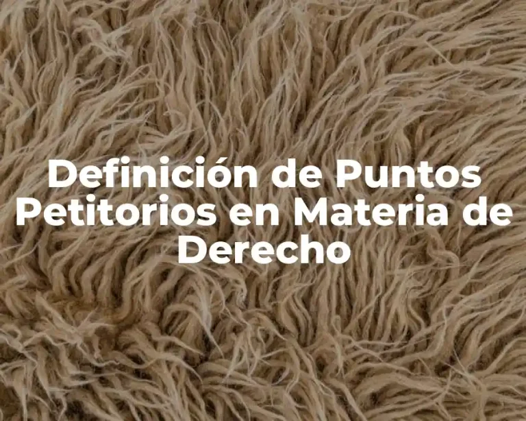 Definición de Puntos Petitorios en Materia de Derecho