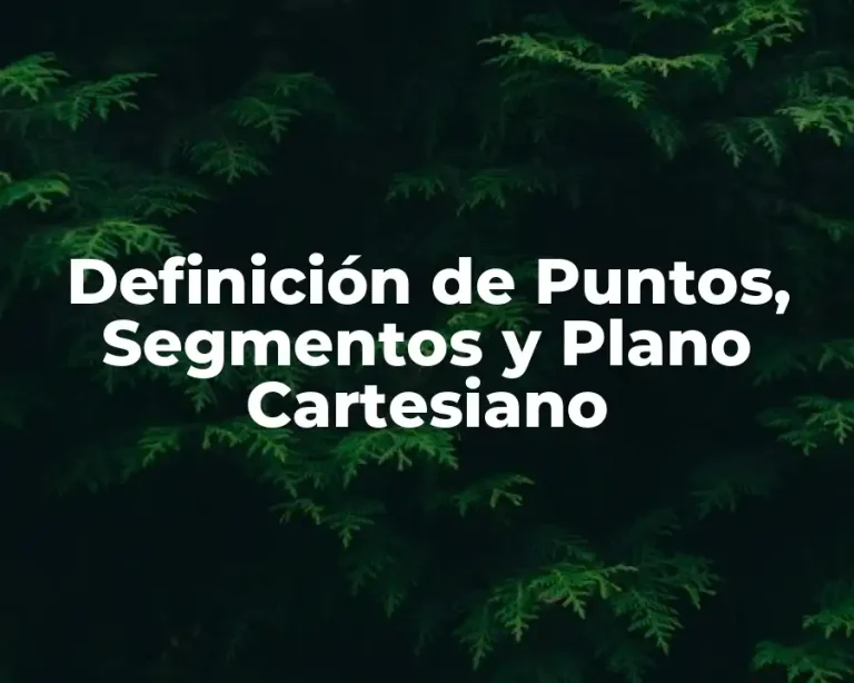 Definición de Puntos, Segmentos y Plano Cartesiano