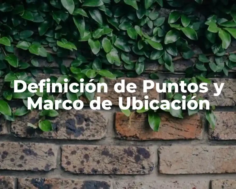 Definición de Puntos y Marco de Ubicación