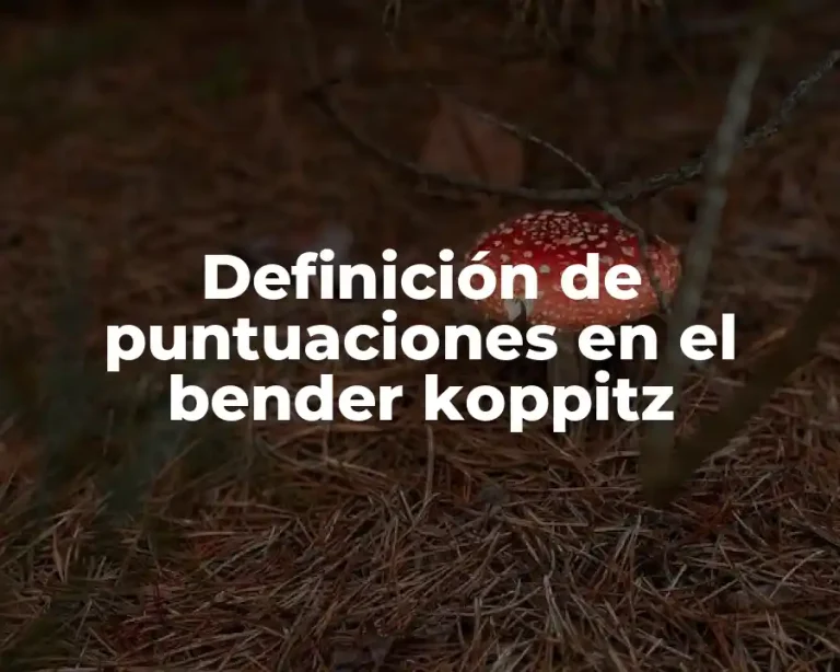 Definición de puntuaciones en el bender koppitz