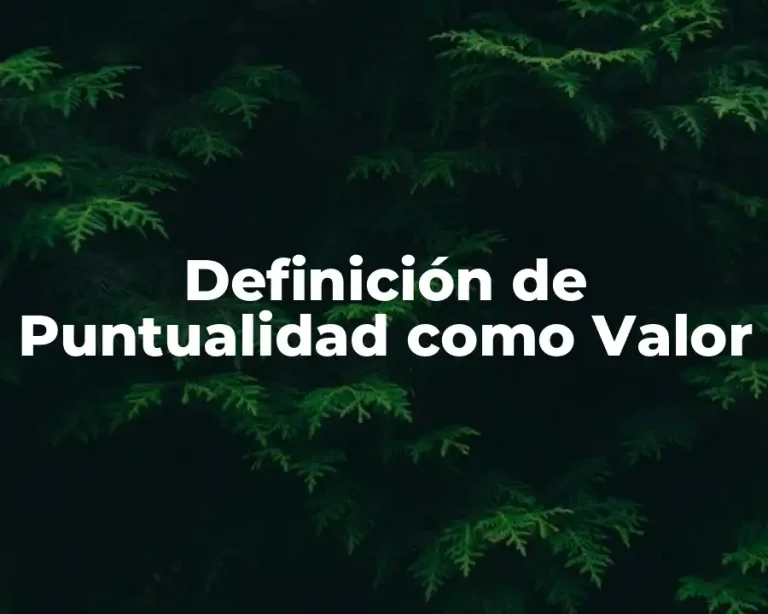 Definición de Puntualidad como Valor