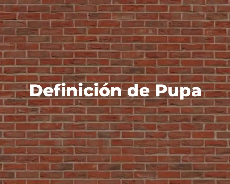 Definición de Pupa