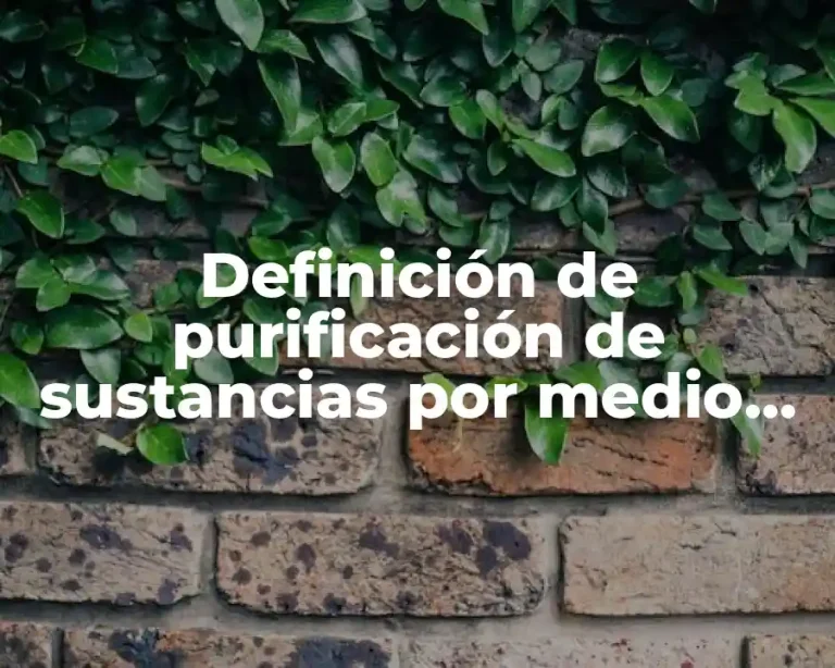 Definición de purificación de sustancias por medio de la cromatografía