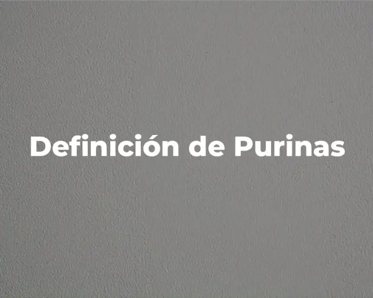 Definición de Purinas