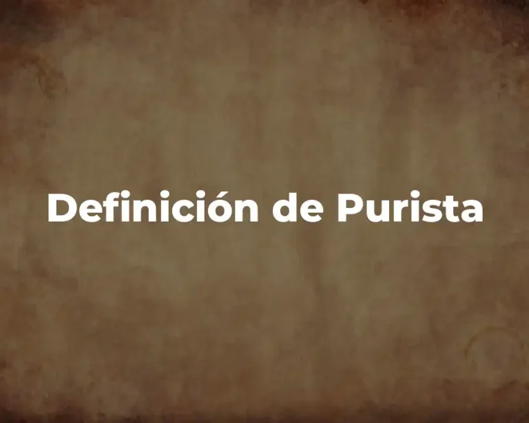 Definición de Purista