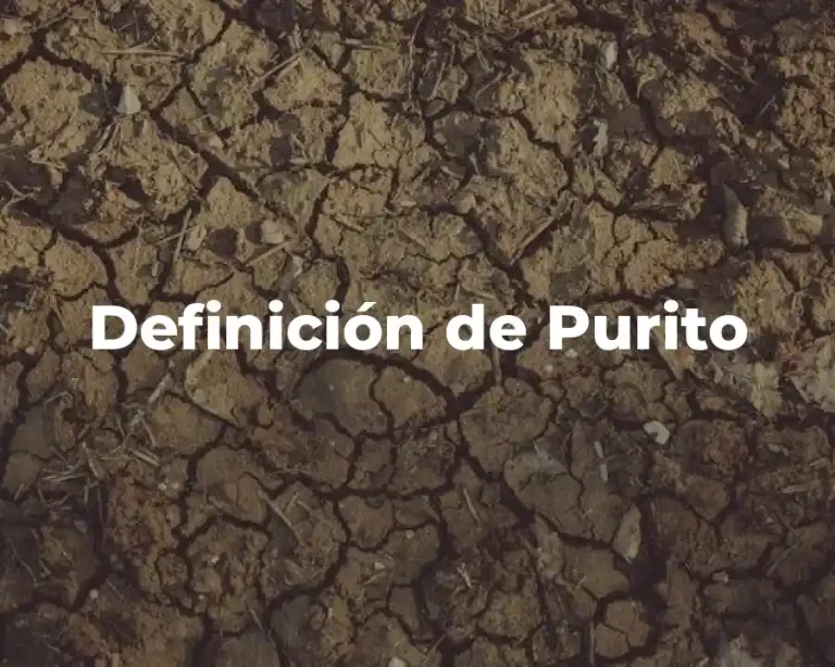 Definición de Purito