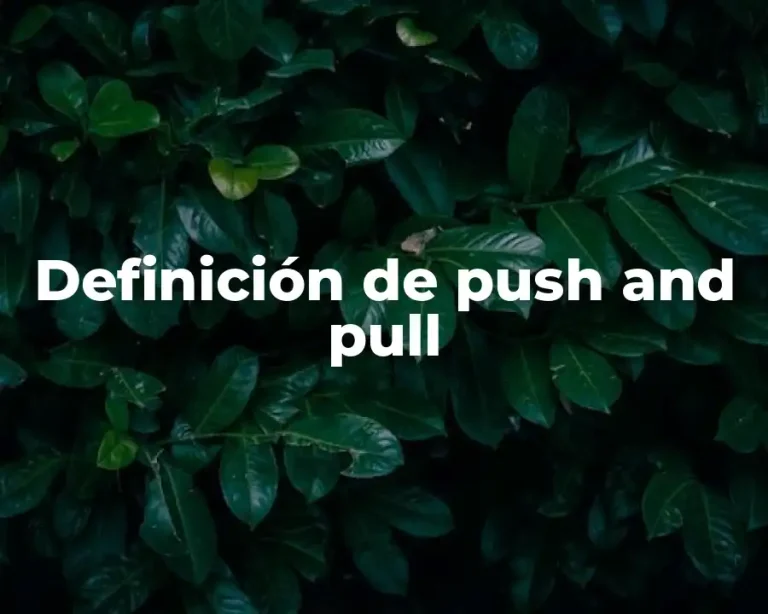 Definición de push and pull