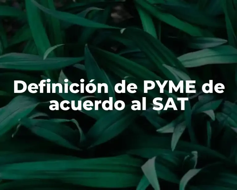 Definición de PYME de acuerdo al SAT