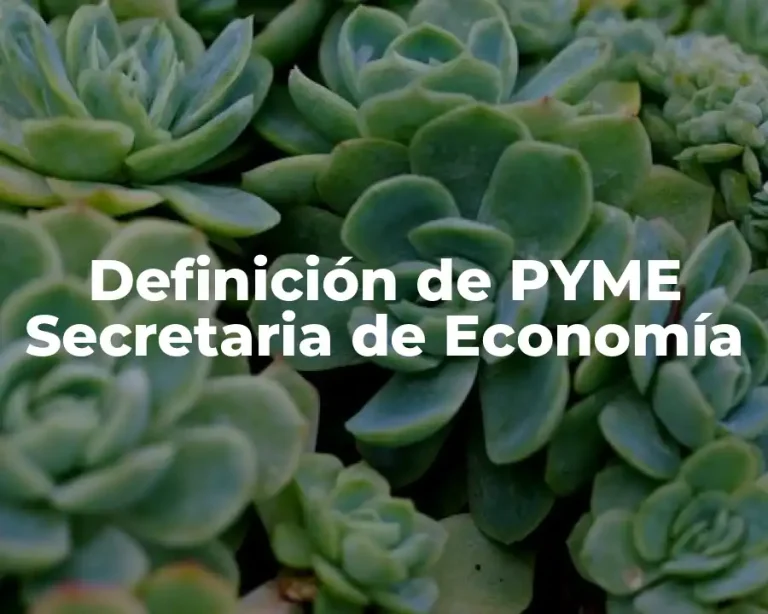 Definición de PYME Secretaria de Economía