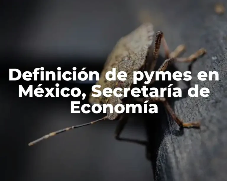 Definición de pymes en México, Secretaría de Economía