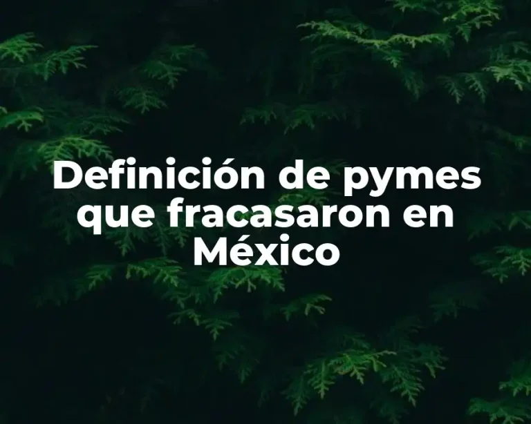 Definición de pymes que fracasaron en México