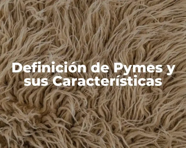 Definición de Pymes y sus Características