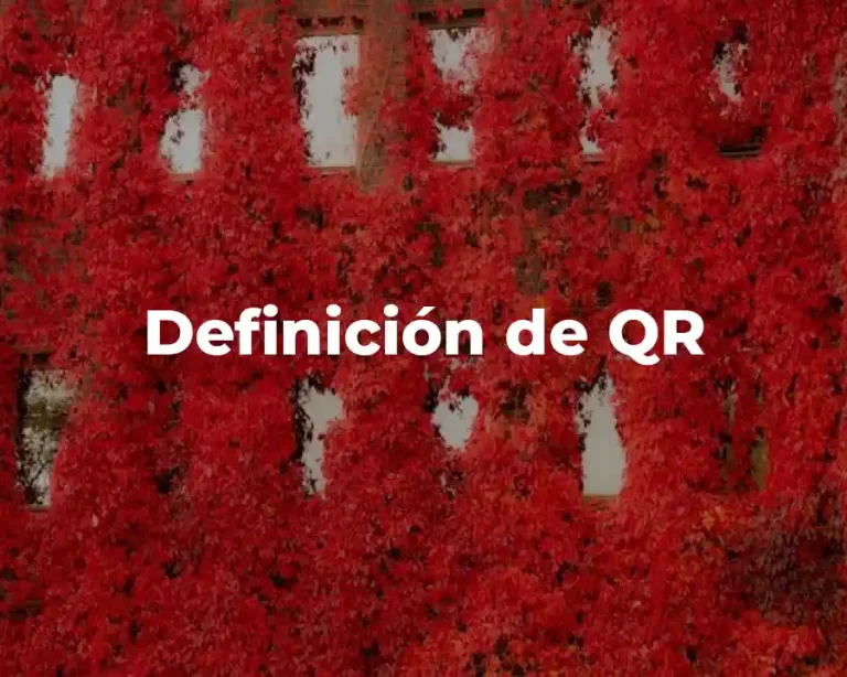 Definición de QR
