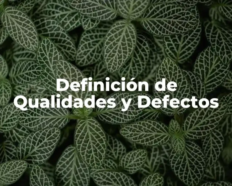 Definición de Qualidades y Defectos