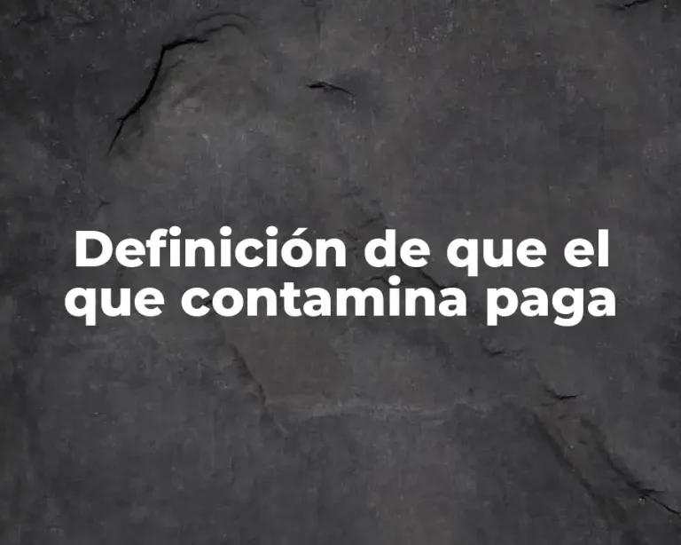 Definición de que el que contamina paga