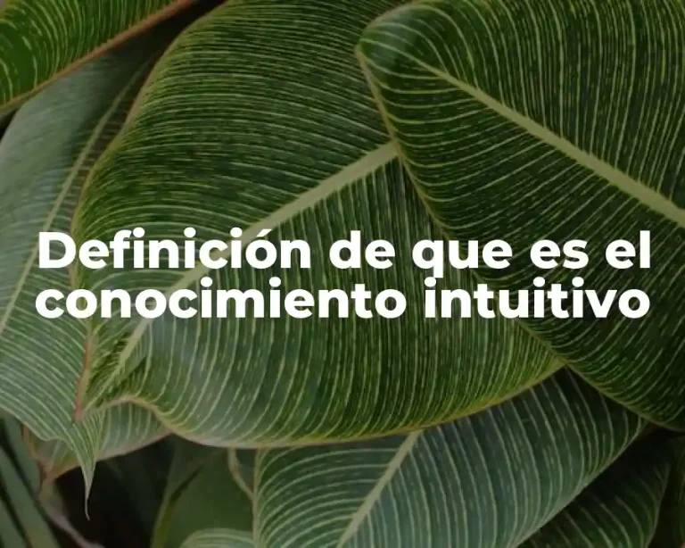 Definición de que es el conocimiento intuitivo