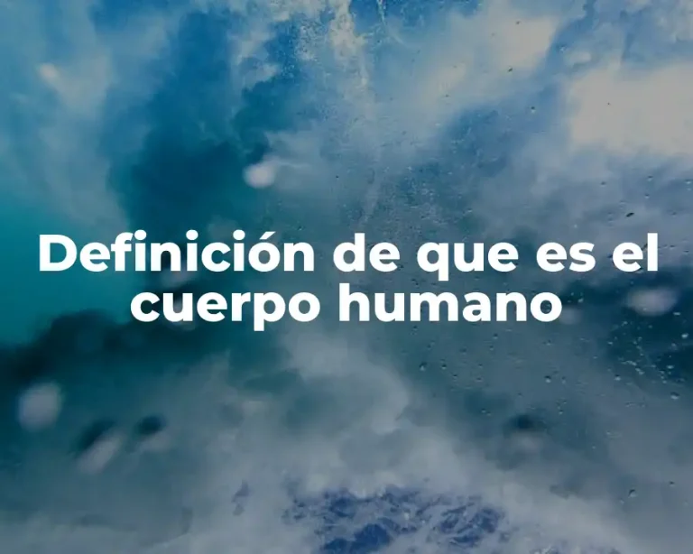 Definición de que es el cuerpo humano