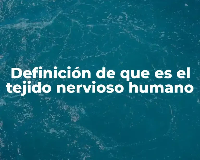 Definición de que es el tejido nervioso humano