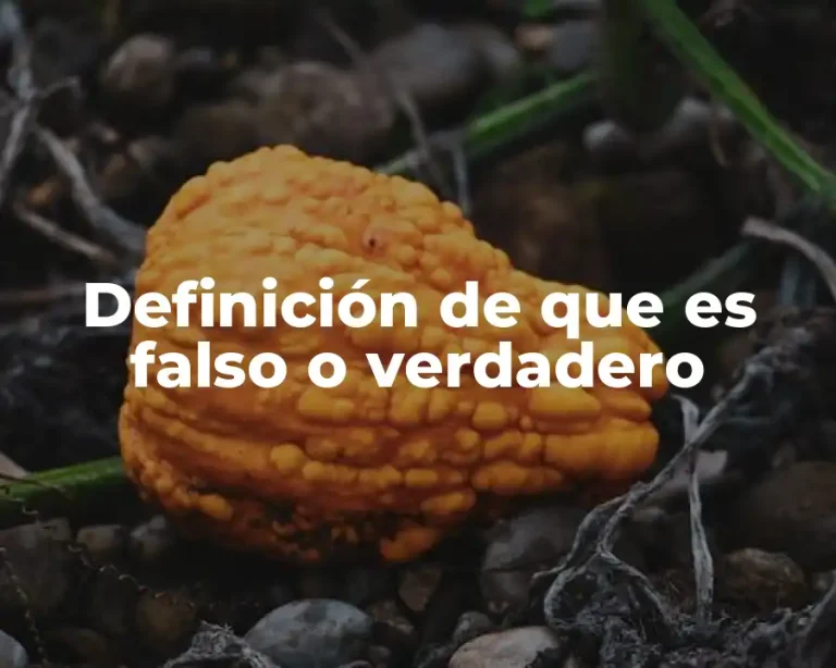 Definición de que es falso o verdadero