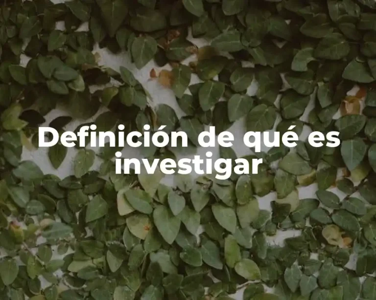 Definición de qué es investigar