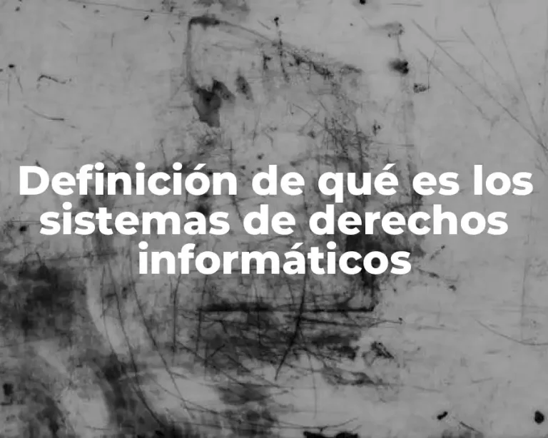 Definición de qué es los sistemas de derechos informáticos