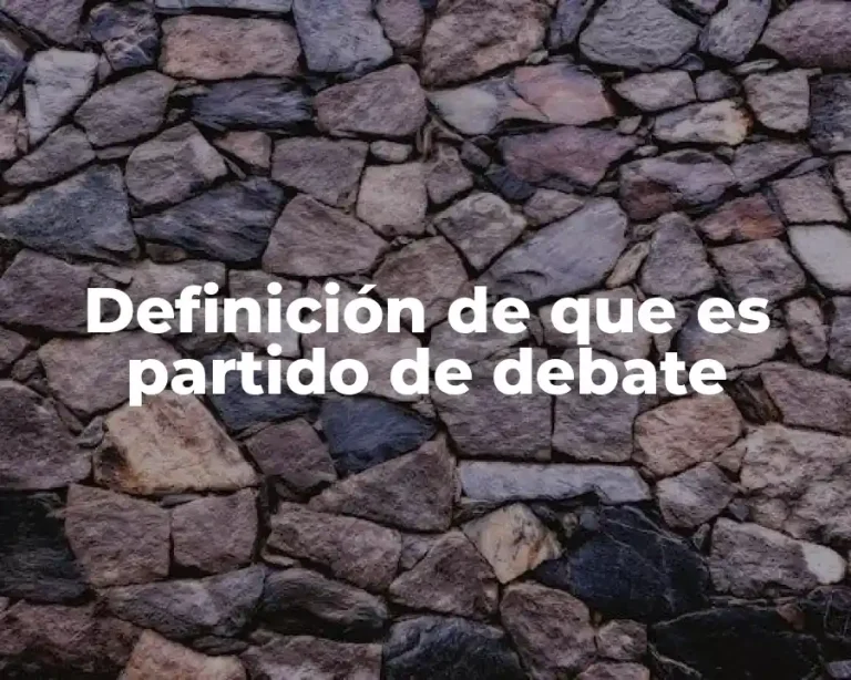 Definición de que es partido de debate