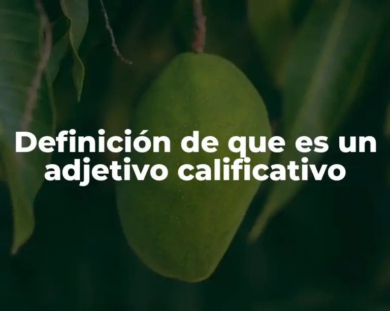 Definición de que es un adjetivo calificativo