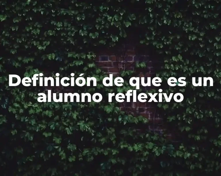Definición de que es un alumno reflexivo