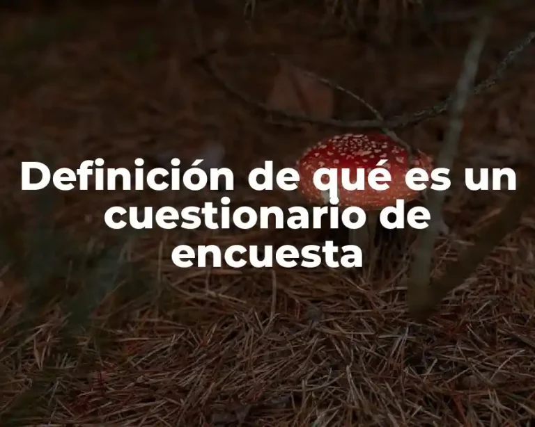 Definición de qué es un cuestionario de encuesta