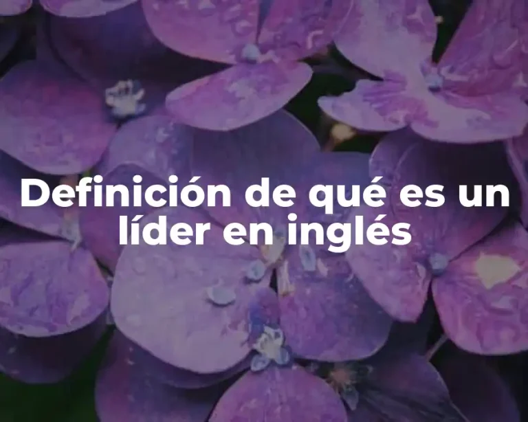 Definición de qué es un líder en inglés