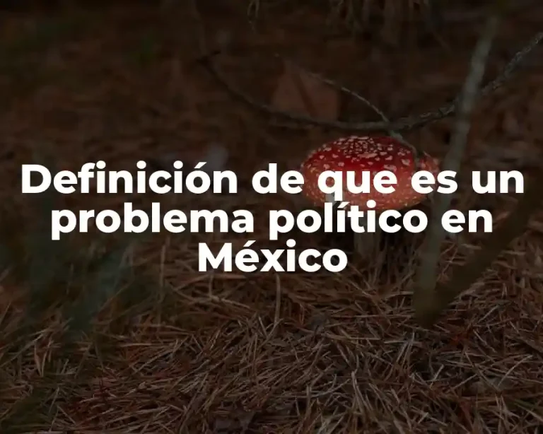 Definición de que es un problema político en México