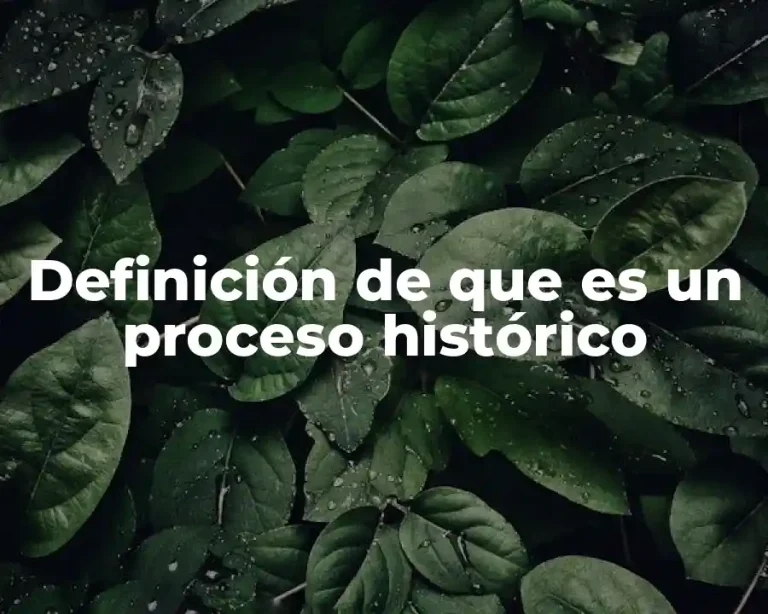 Definición de que es un proceso histórico
