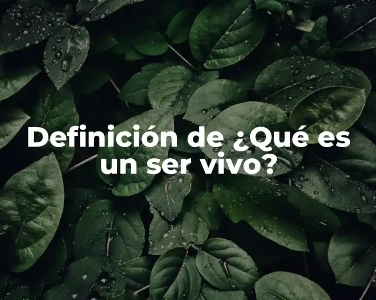 Definición de ¿Qué es un ser vivo?