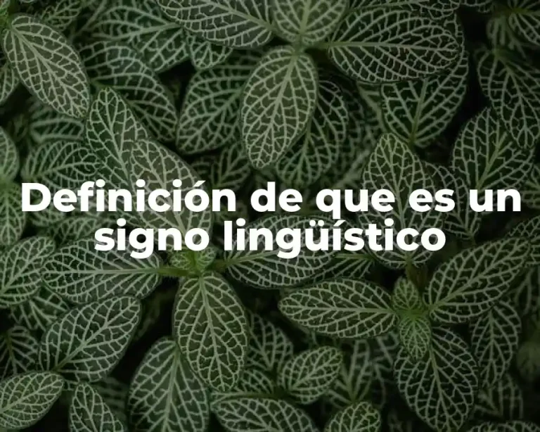Definición de que es un signo lingüístico