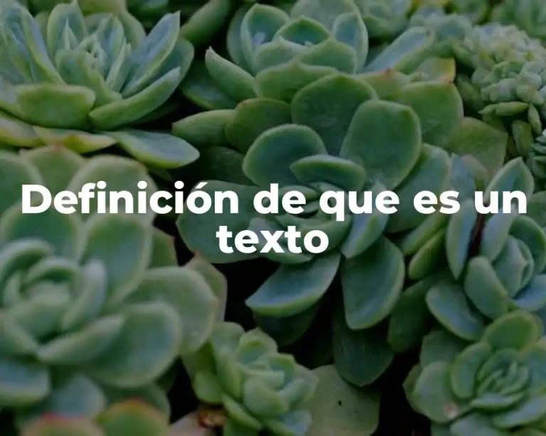 Definición de que es un texto