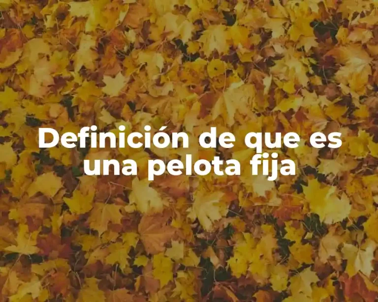 Definición de que es una pelota fija