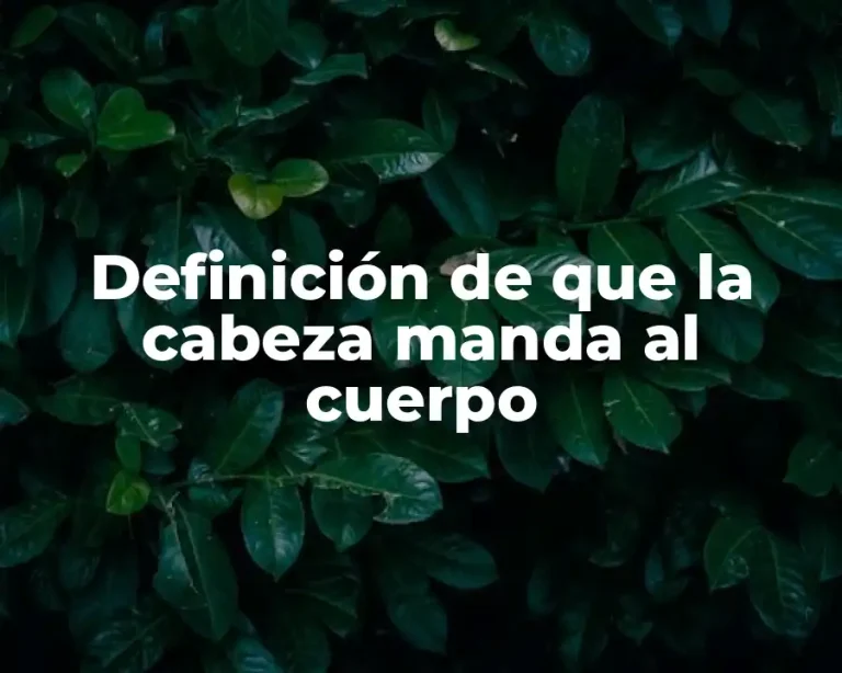 Definición de que la cabeza manda al cuerpo