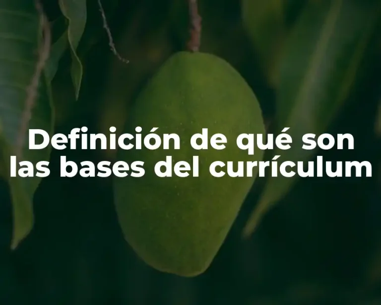 Definición de qué son las bases del currículum