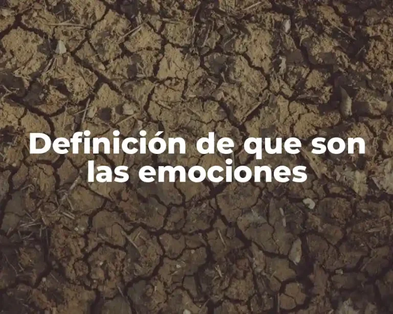 Definición de que son las emociones