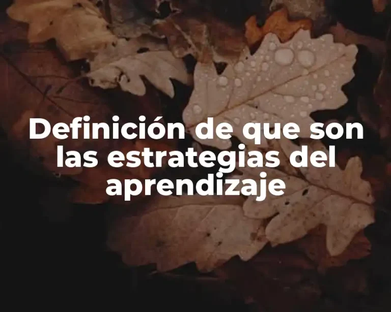 Definición de que son las estrategias del aprendizaje