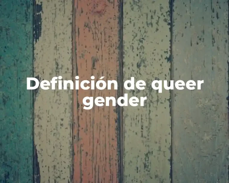 Definición de queer gender