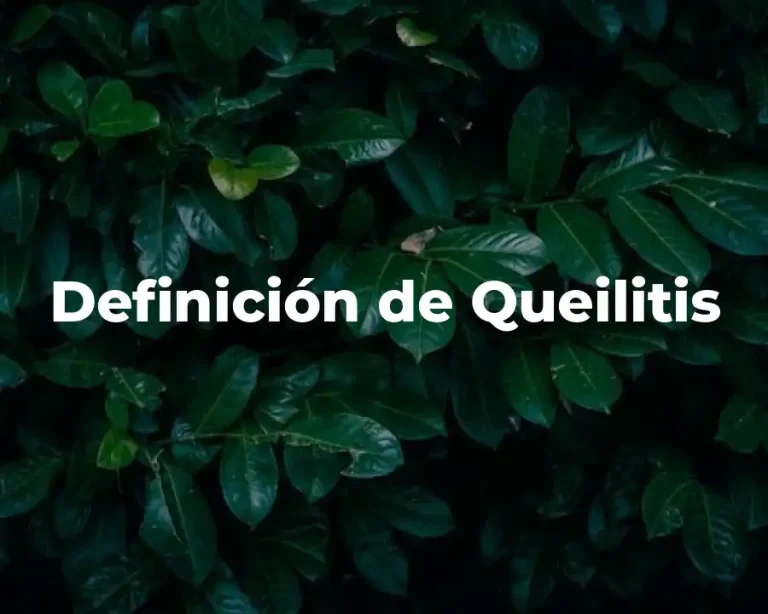 Definición de Queilitis