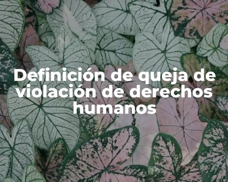 Definición de queja de violación de derechos humanos