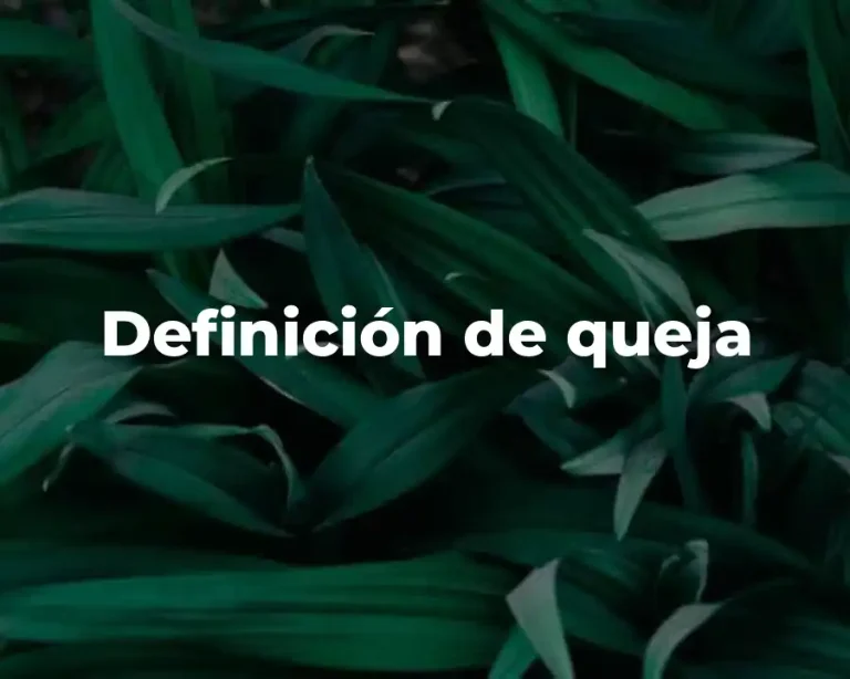 Definición de queja