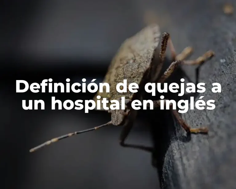 Definición de quejas a un hospital en inglés