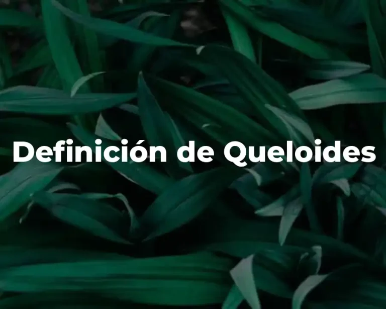 Definición de Queloides