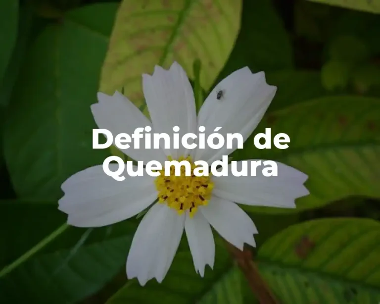 Definición de Quemadura